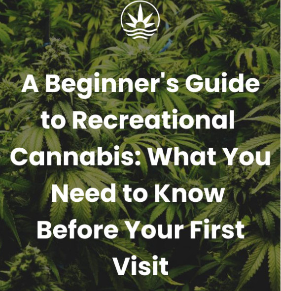 A Beginner's Guide to Recreational Cannabis: What You Need to Know Before Your First Visit
