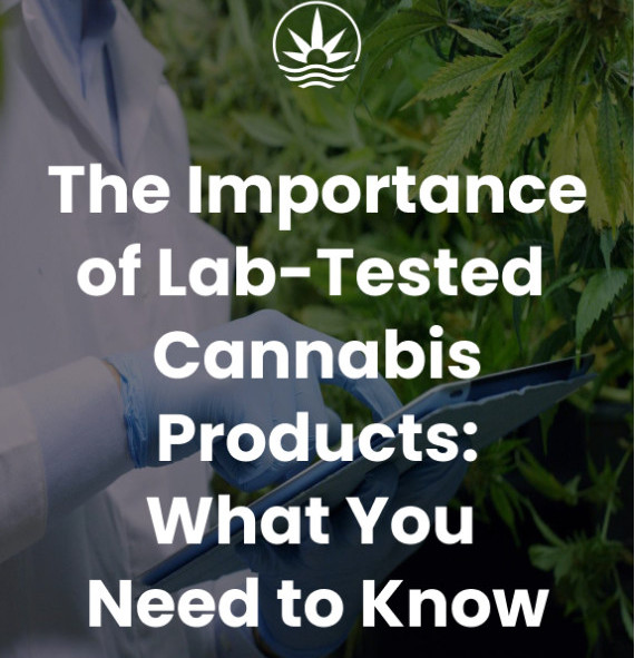 The Importance of Lab-Tested Cannabis Products: What You Need to Know