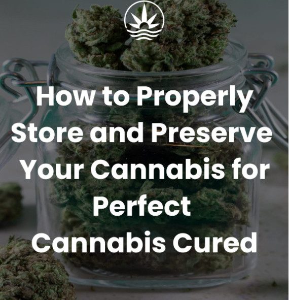 How to Properly Store and Preserve Your Cannabis for Perfect Cannabis Cured